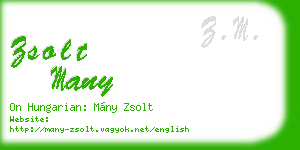 zsolt many business card