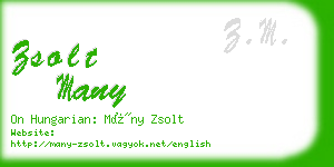 zsolt many business card